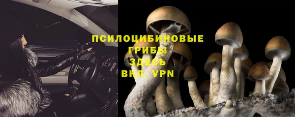 кристаллы Покачи