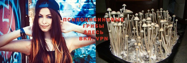 кокс Зерноград