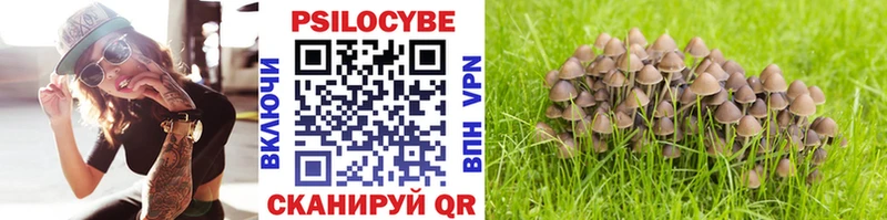 Псилоцибиновые грибы MAGIC MUSHROOMS  Купить где  Ермолино 
